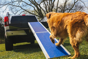 EZ-ACCESS Portable Pet Ramp - EZ-ACCESS